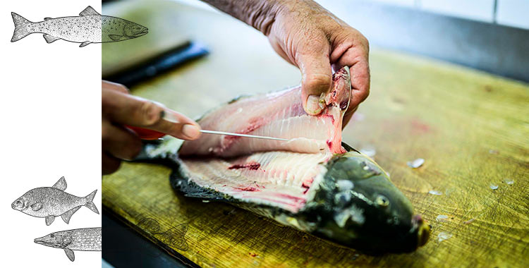 overlay_fisch